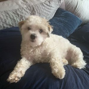 Meet your Posher, Kyle